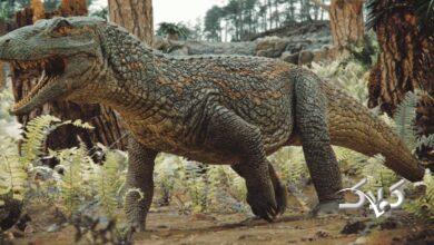 کروکودیل باستانی