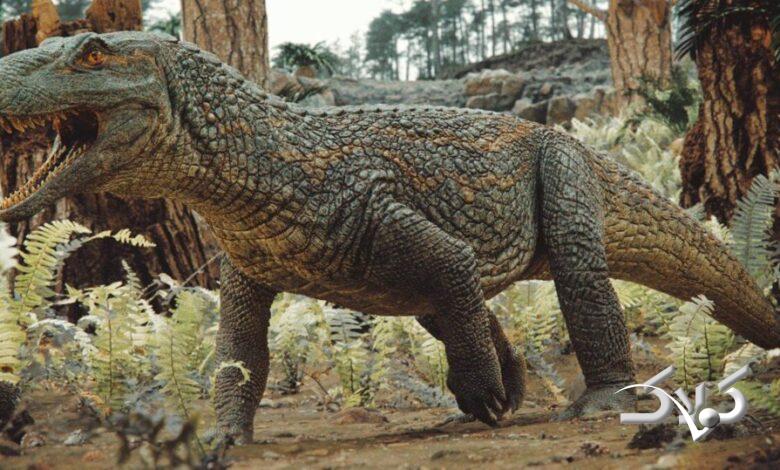 کروکودیل باستانی