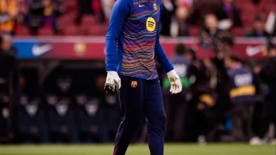 وویچیخ شچنسنی