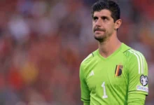 تیبو کورتوا