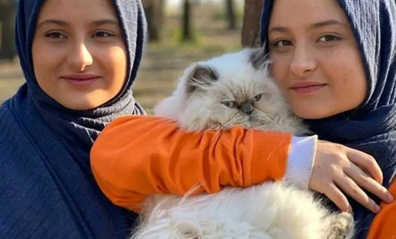 سارا و نیکا