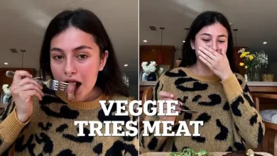 استیک خوردن یک گیاه‌خوار