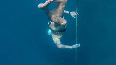 والدمار برودرر