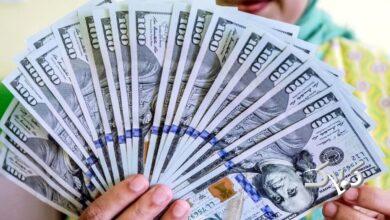 پیش‌بینی هولناک از آینده قیمت دلار/ دلار تا پایان سال چقدر رشد می‌کند؟