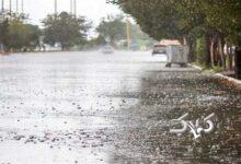 موج جدید ناپایداری‌های جوی از دوشنبه در استان بوشهر فعال می‌شود