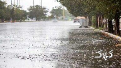 موج جدید ناپایداریهای جوی از دوشنبه در استان بوشهر فعال میشود