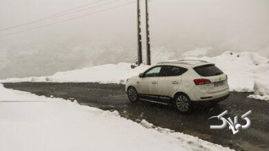 بارش برف / گیلان / زمستان / سرما