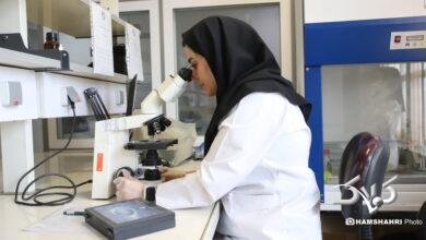 پژوهشکده کبد و گوارش