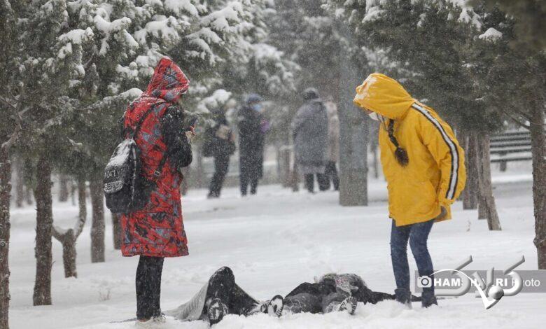 برف سامانه بارشی زمستان