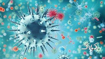 آخرین وضعیت عفونتهای تنفسی در گردش/ تداوم پیک آنفلوآنزا در ۱۲ استان