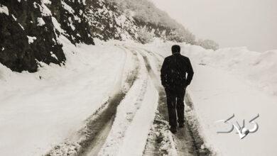 بارش برف / گیلان / زمستان / سرما