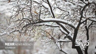 ورود سامانه بارشی به کشور؛ بارش برف و کولاک در راه است