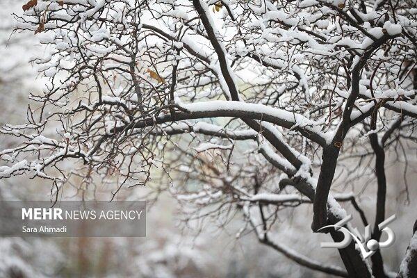 ورود سامانه بارشی به کشور؛ بارش برف و کولاک در راه است