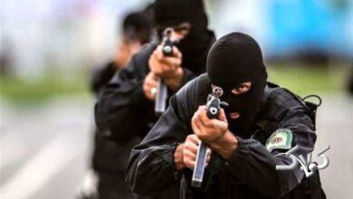 نوپو - نیروی ویژه پلیس - پلیس ویژه