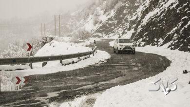 بارش برف / گیلان / زمستان / سرما