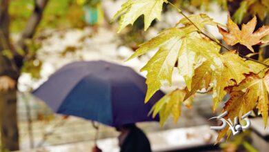 آب و هوا - بارندگی