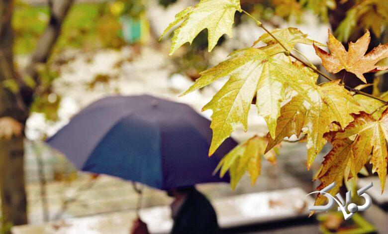 آب و هوا - بارندگی