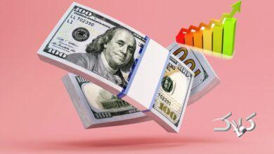 قیمت دلار، یورو و سایر ارزها امروز ۱۶ آذر/ سرعت افزایش قیمت دلار تند شد