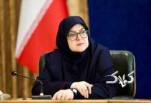 سخنگوی دولت: تثبیت قیمت‌ها اشتباه بود