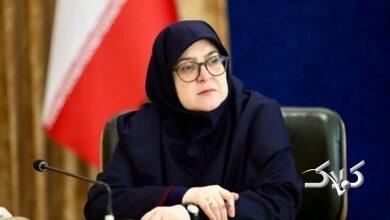 سخنگوی دولت: تثبیت قیمتها اشتباه بود