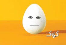 قیمت جدید تخم مرغ اعلام شد+ جزییات