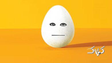 قیمت جدید تخم مرغ اعلام شد+ جزییات