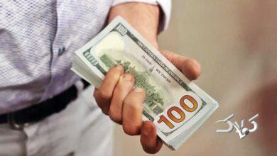 قیمت دلار، یورو و سایر ارزها امروز ۲۴ آذر/ نرخ دلار عجیب شد