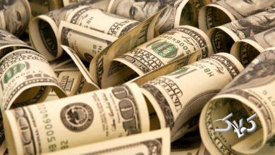 پشتپرده افزایش قیمت دلار/ دولت کشور را کاملا رها کرده، مراقب چمنها و چراغهای پاستور است!