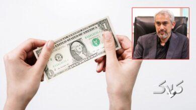 وزیر اقتصاد درباره افزایش قیمت دلار چه گفت؟/ توضیحات مهم مدنیزاده را بخوانید