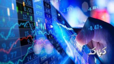 شاخص کل بورس در آخرین روز معاملاتی هفته به رکورد زنی خود ادامه داد