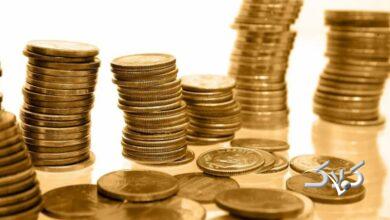 اعلام جزئیات آخرین پیشفروش سکه امسال