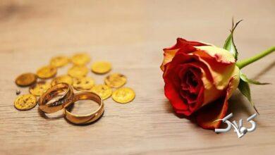 وزیر دادگستری: مهریه قرار نیست ۱۴ سکه شود