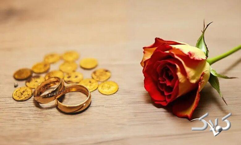 وزیر دادگستری: مهریه قرار نیست ۱۴ سکه شود