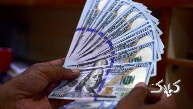 ترمز ارز دست کیست؟ آقای رئیسجمهور، شخصاً ورود کنید