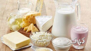 قیمت لبنیات در دی ماه کاهش مییابد