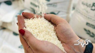 قیمت انواع برنج در بازار رسمی اعلام شد