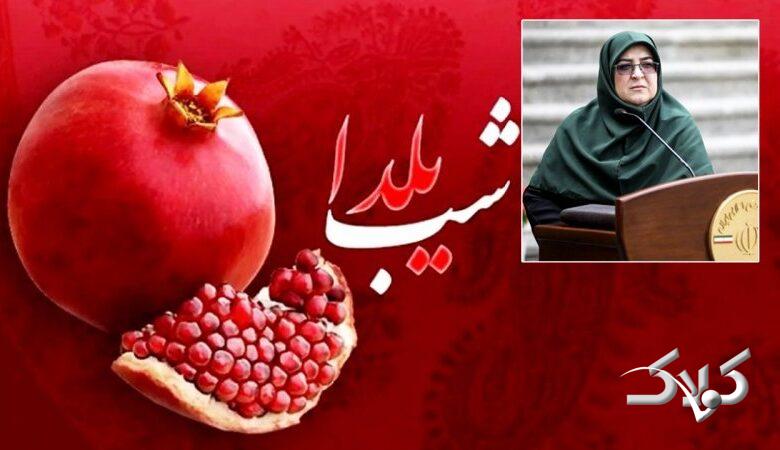 پیام مهم سخنگوی دولت درباره شب یلدا / کام ملت ایران شیرین شد