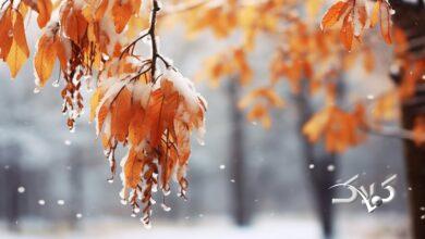 هشدار فوری در چند استان کشور صادر شد / سامانه بارشی سنگین دوباره برمیگردند