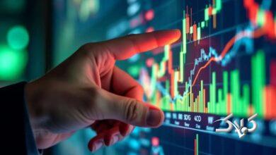 شاخص کل بورس همچنان به رکورد شکنی خود ادامه میدهد