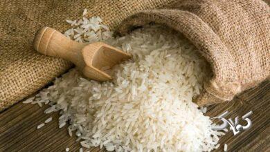 قیمت برنج شناور میشود