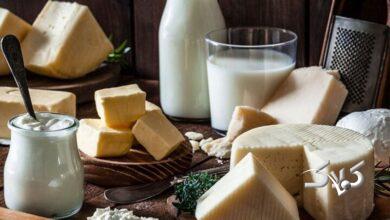 لبنیات ارزان به بازار میآید+ قیمت