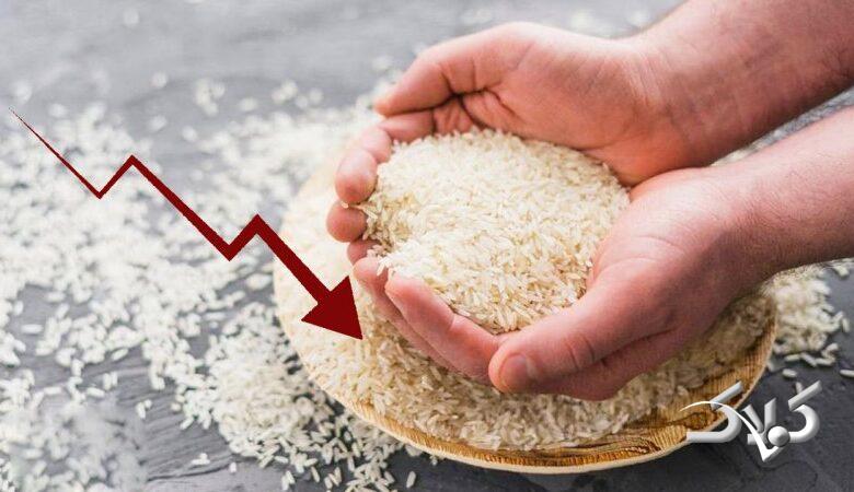 فوری/ سقوط قیمت برنج هندی آغاز شد