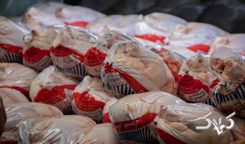 آغاز توزیع مرغ منجمد در تهران + قیمت