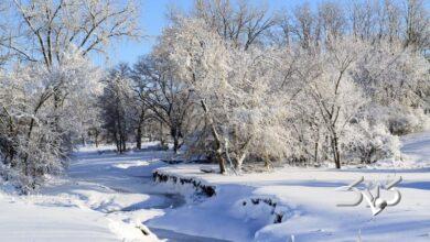 بارش برف و باران ۲۸ استان کشور را دربرمیگیرد