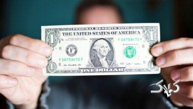 هشدار جدی یک کارشناس در خصوص سیاستهای ارز