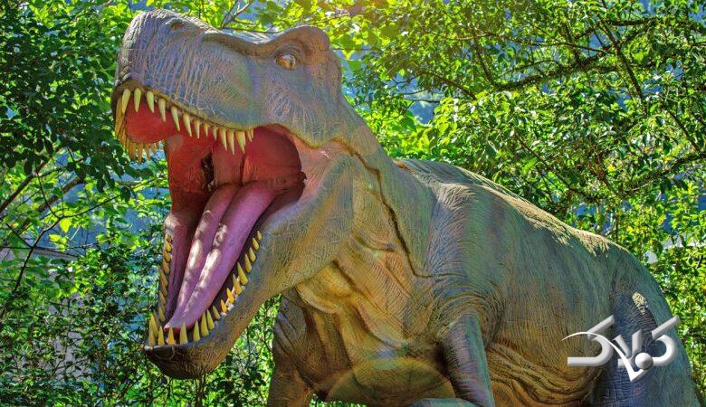 تخم دایناسور ۷۰ میلیون ساله پر از بلور بود! + عکس