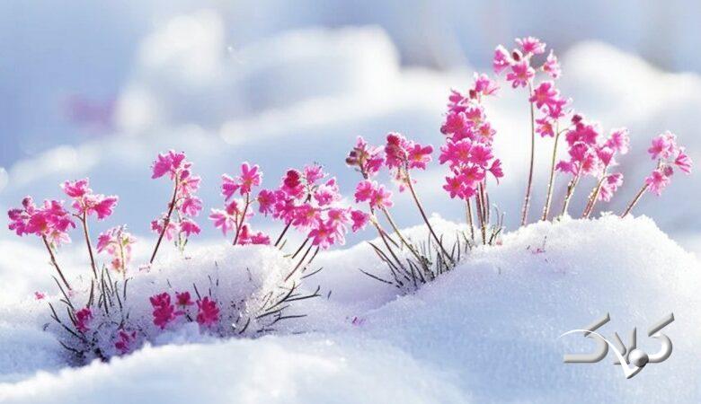 هشدار بارش سیلآسا و کولاک در این استان؛ فردا سردترین روز سال است