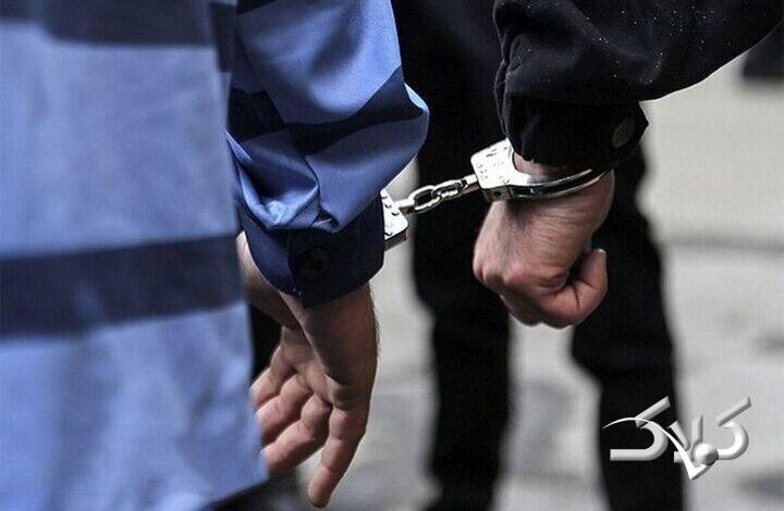 داماد با لباس زنانه جواهرات ۲۰ میلیاردی برادرزن را سرقت کرد