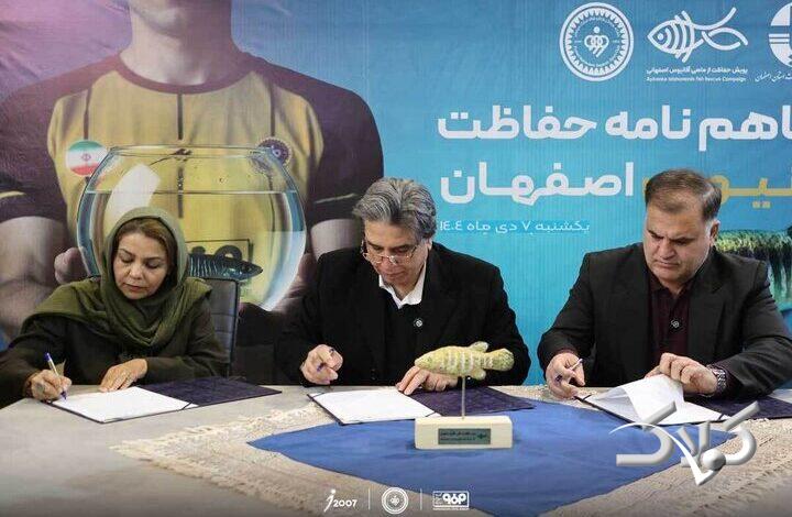 تفاهمنامه همکاری سپاهان و اداره کل محیط زیست برای حفاظت از ماهی در حال انقراض آفانیوس