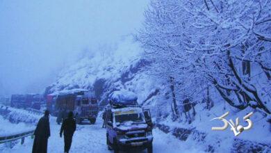 هوای سرد جان ۴ نفر را در غرب افغانستان گرفت